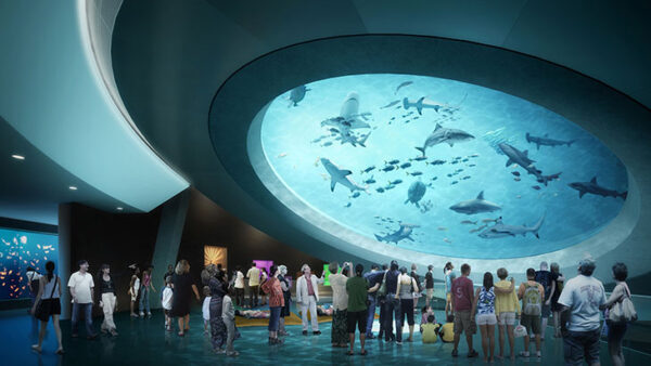 Frost Museum Of Science Miami