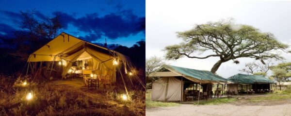 Afrika’da Büyük Göç ve İzlenebileceği En İyi Safari Kampları