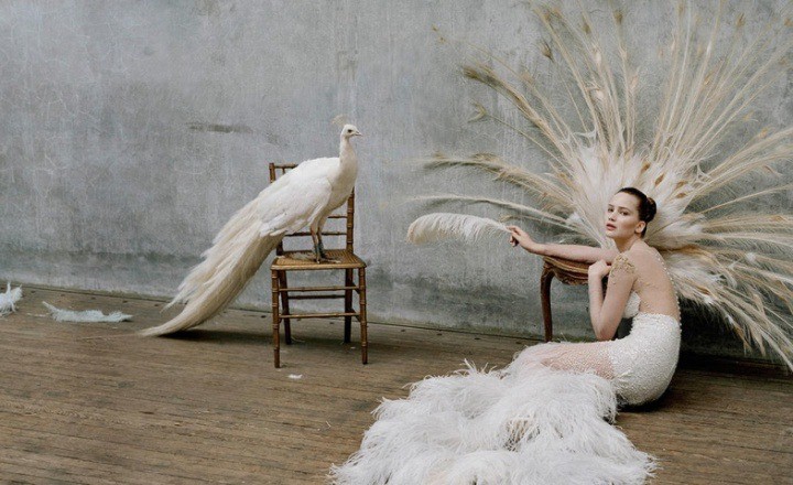 Tim Walker Sergisi Victoria &amp; Albert Museum’da