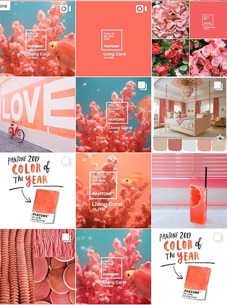 2019 Pantone Yılın Rengi Kırmızı Mercan