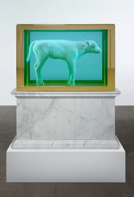 Damien Hirst: Hayatı, Eserleri ve Bilinmeyenleri