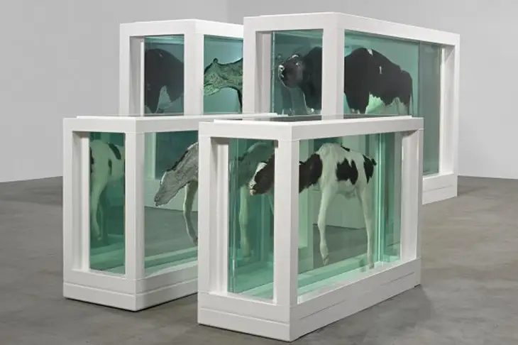 Damien Hirst: Hayatı, Eserleri ve Bilinmeyenleri