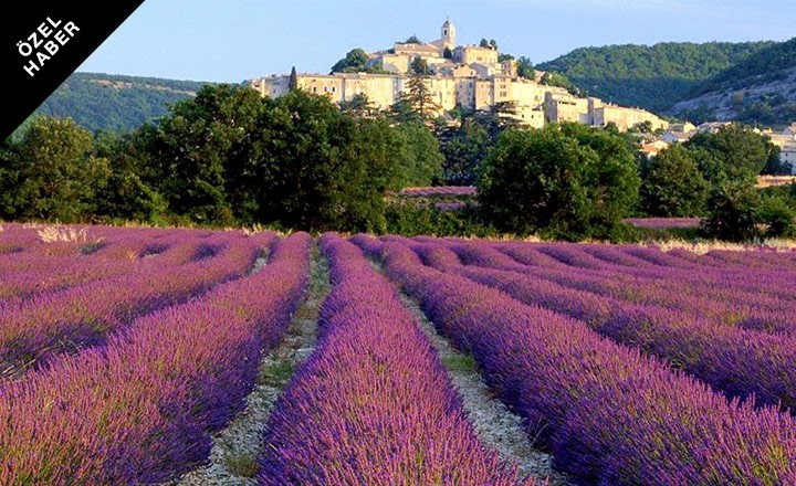 Provence Gezi Rehberi: Jack Lincele