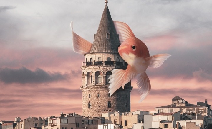 Dijital Fotoğraf Sanatçısı: Yasin Yaman