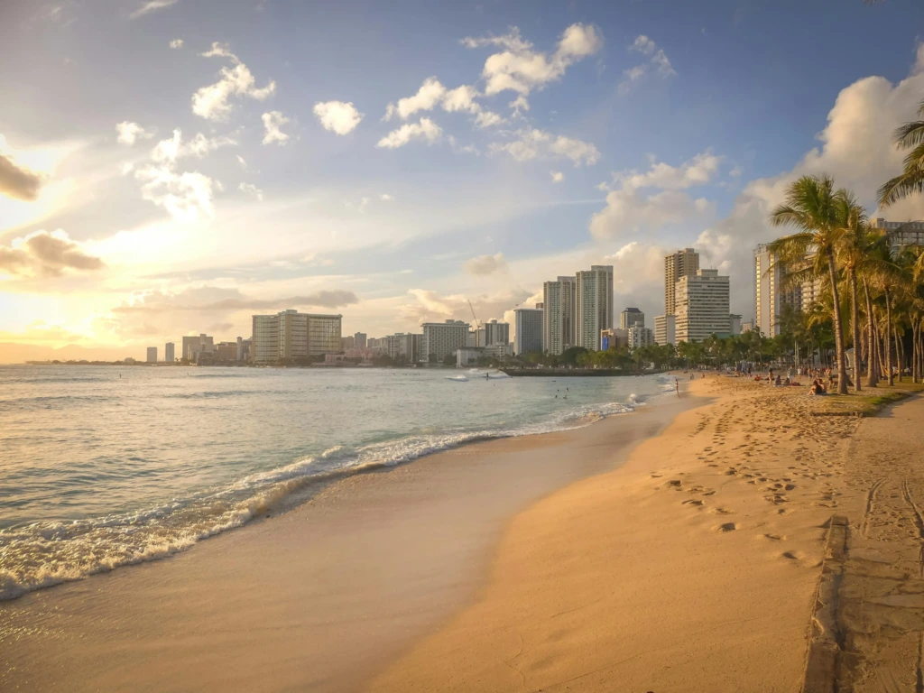 Hawaii’de gün batımı sırasında palmiye ağaçlarıyla çevrili sahil ve şehir manzarası.