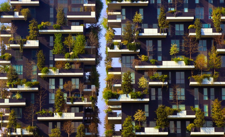 Şehircilikte Yeni Akım: Wild Urbanism