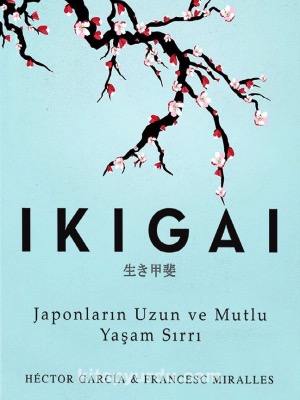 Japonya'yı Evinizden Keşfedin