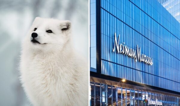 Neiman Marcus Kürk Satışını Durduyor