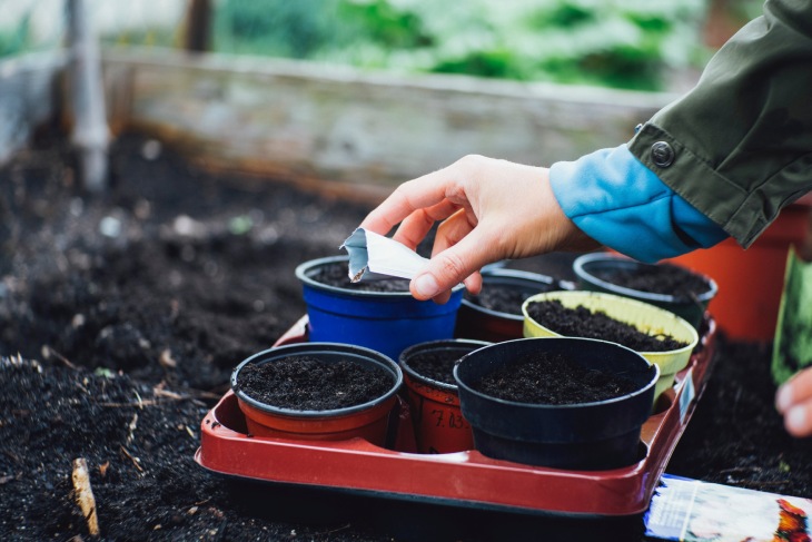 Sürdürülebilir Bahçecilik İçin İzlemeniz Gereken 7 Adım