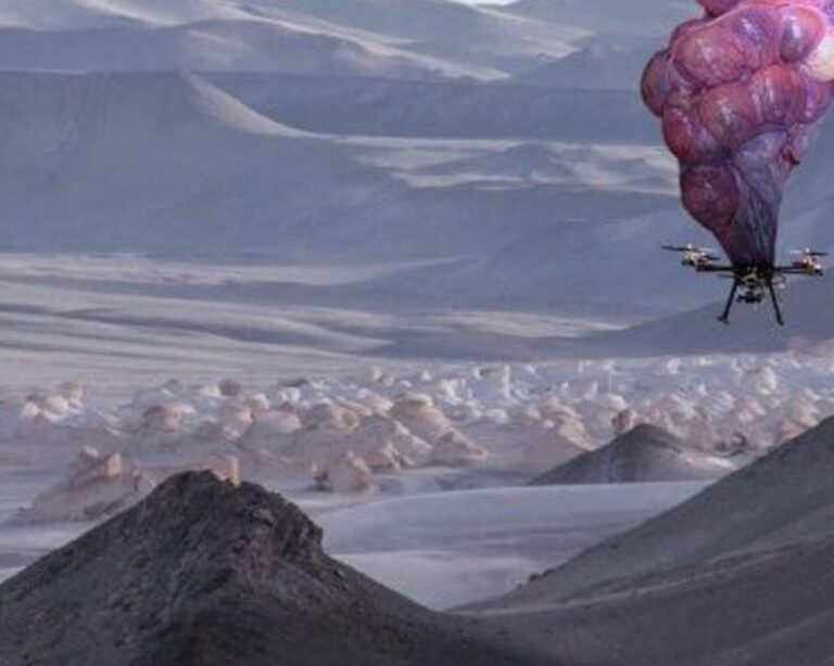 Bio Art Hakkında Bilmeniz Gerekenler