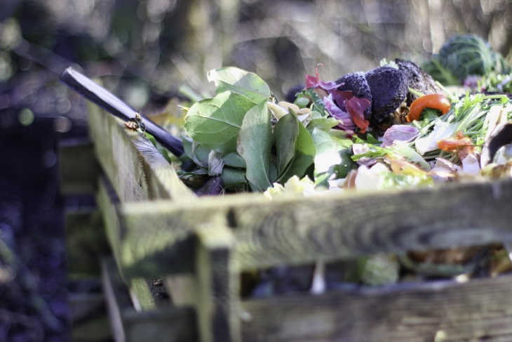 Doğal Bir Gübre Olan Kompost Hakkında Her Şey