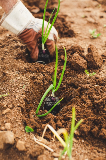 Temiz Gıda ve Sürdürülebilir Tarımı Beyhan Uzunçarşılı Anlatıyor