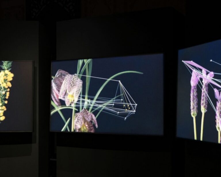 Doğanın Dijital Sanat ile Birlikteliği: Flora Sergisi