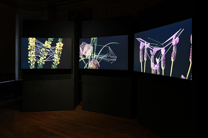 Doğanın Dijital Sanat ile Birlikteliği: Flora Sergisi