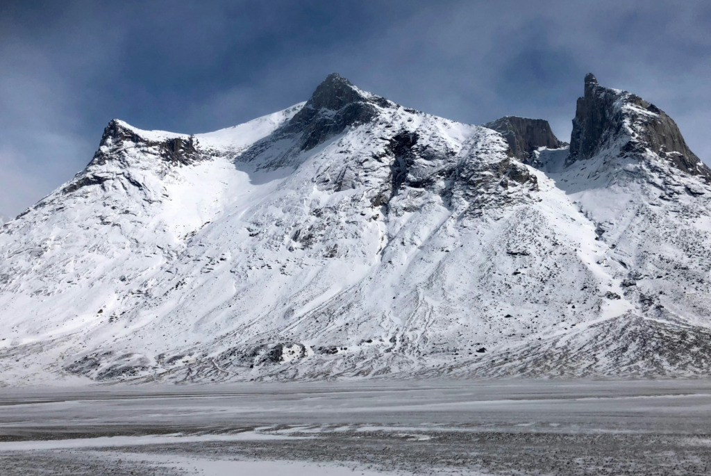 Glacier Körfezi’nin göz alıcı Johns Hopkins Buzulu’ndan, Kanada’daki Kluane ve Tatshenshini-Alsek’e kadar uzanan bu dört bölge; somonların yumurtlama alanı olan berrak nehirleri, vahşi doğanın gözdeleri boz ayı, ren geyiği, Dall koyunu ve dağ keçisi gibi türleriyle doğa tutkunlarının hayranlıkla izlediği bir tabloyu andırıyor.