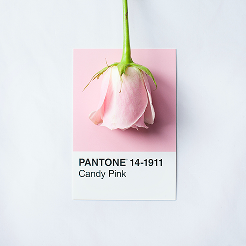Pantone 2023 İlkbahar/Yaz Renk Trendleri