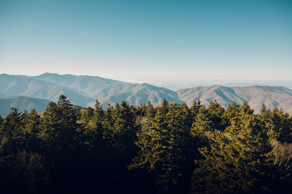 Kuzey Karolina, Great Smoky Dağları Ulusal Parkı.