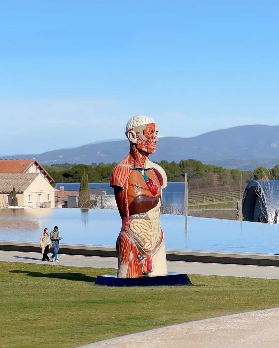Château La Coste'de göl kenarındaki çimlerin üzerinde duran devasa anatomik erkek heykeli. Heykel, insanın kas sistemini ve kalp ile karaciğer gibi iç organlarını açıkça sergiliyor.