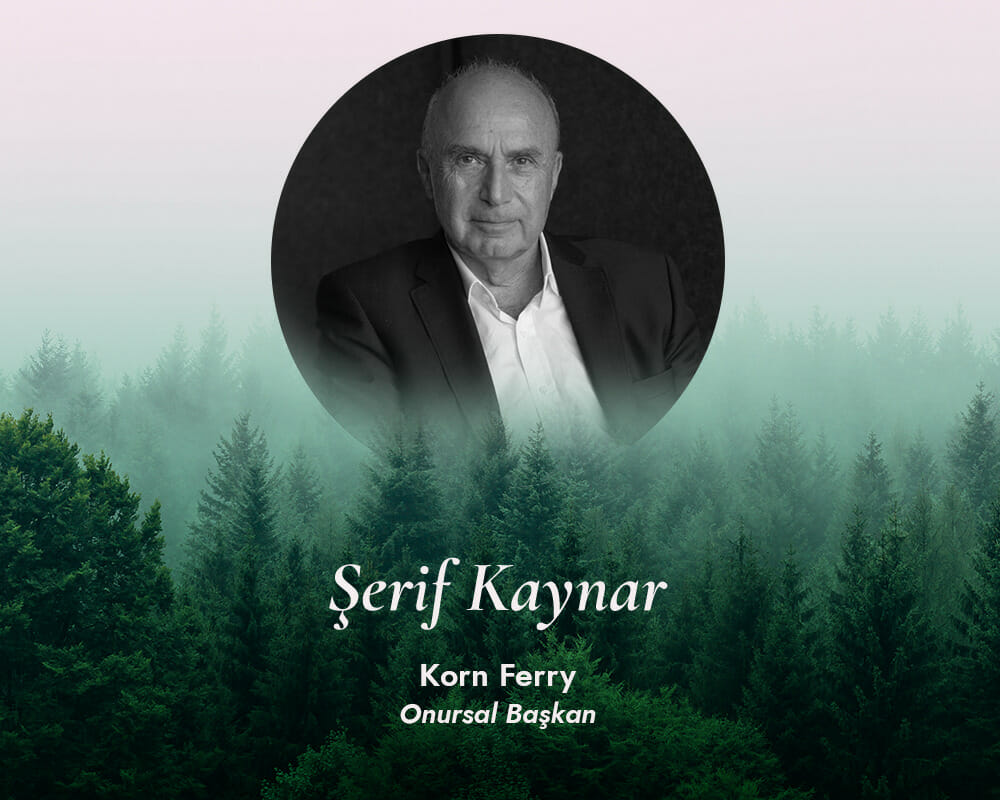 İş Dünyasında Sürdürülebilirlik Anlayışı: Şerif Kaynar, Korn Ferry ...