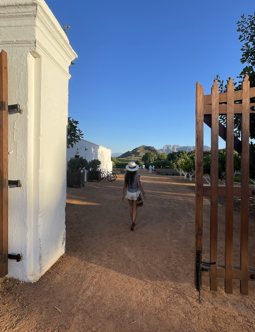 Cape Town'da İyi Yaşamın Sırlarının İzinde