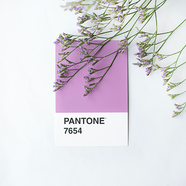 Pantone 2023 Sonbahar/Kış Renkleri