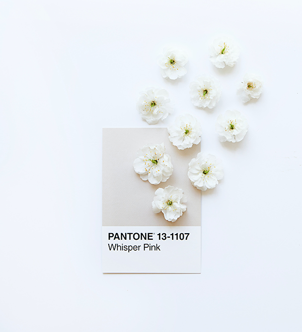 Pantone 2023 Sonbahar/Kış Renkleri