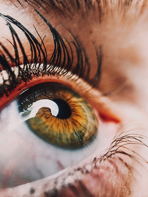 Göz Sağlığınızı Korumak İçin Dikkat Etmeniz Gerekenler