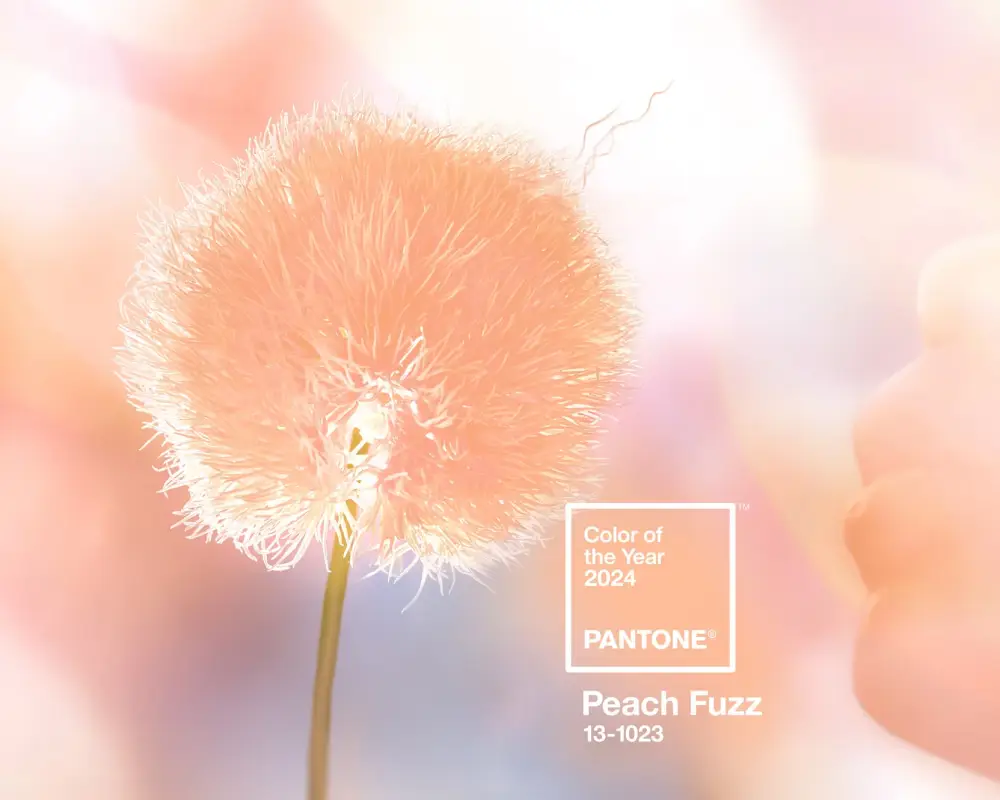 2024 Pantone Rengi Açıklandı OGGUSTO
