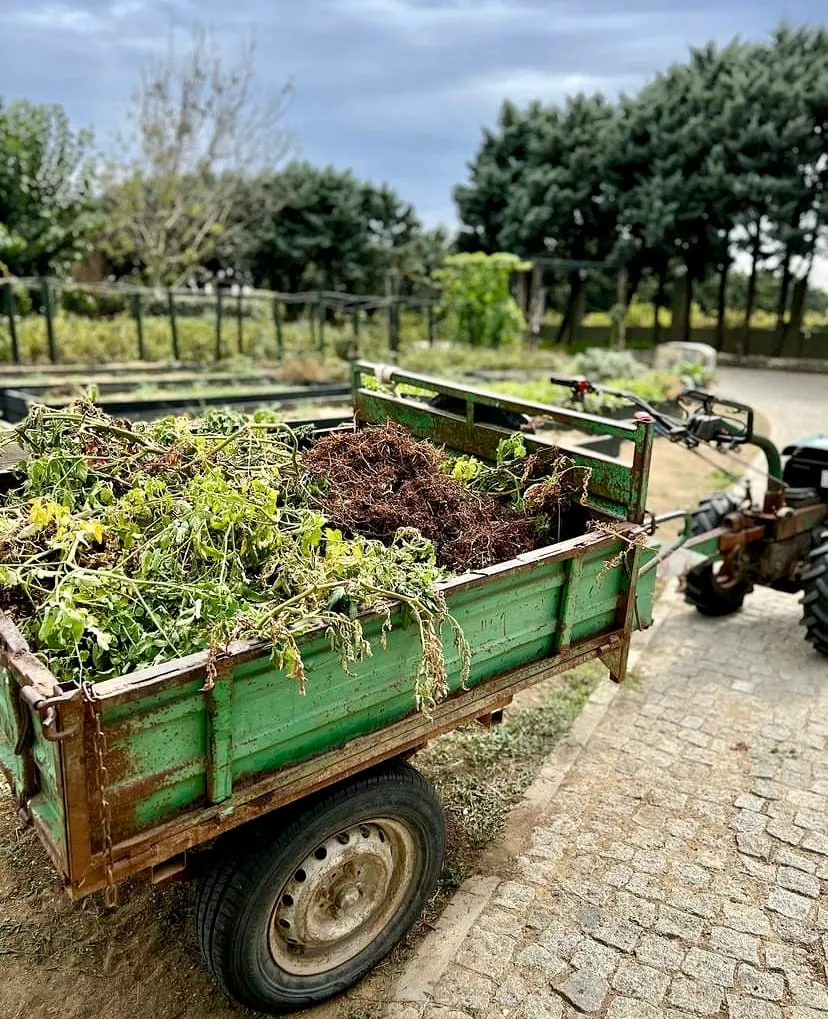 İstanbul'a Yakın Hafta Sonu Kaçamakları