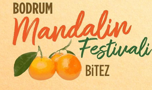 Türkiye'nin Dört Bir Yanındaki En İyi Festivaller