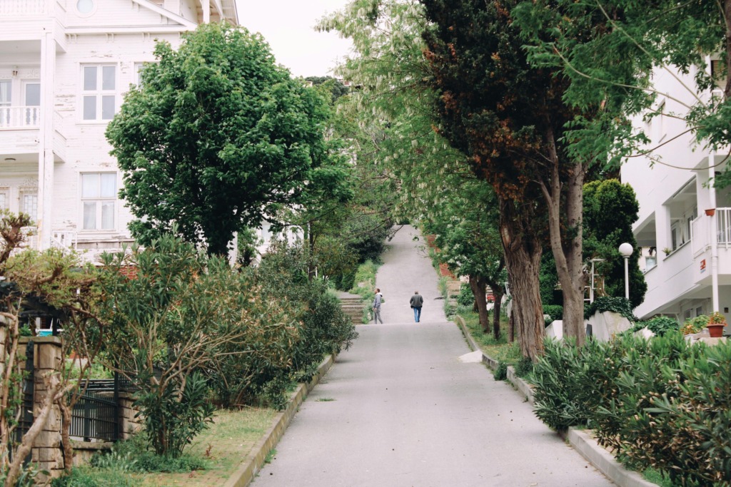 İstanbul Adalar Rehberi