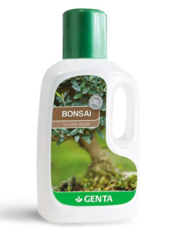Bonsai Bakımı: Türlere Göre Bakım İpuçları, Sulama & Budama Rehberi