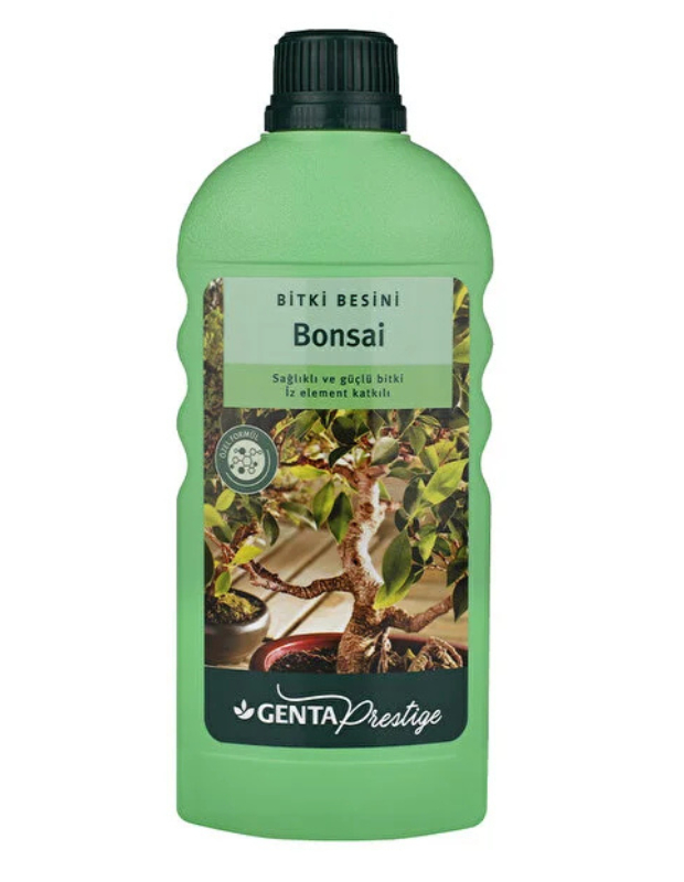 Bonsai Bakımı: Türlere Göre Bakım İpuçları, Sulama & Budama Rehberi