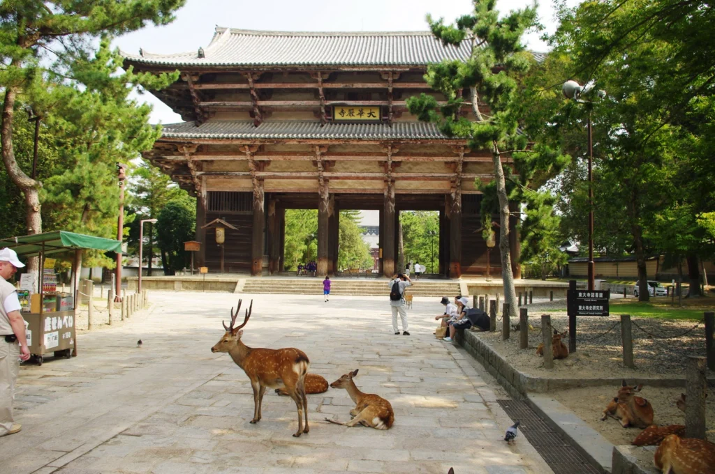 Japonya'nın Kültürel Mirası: Kyoto'ya Yolculuk