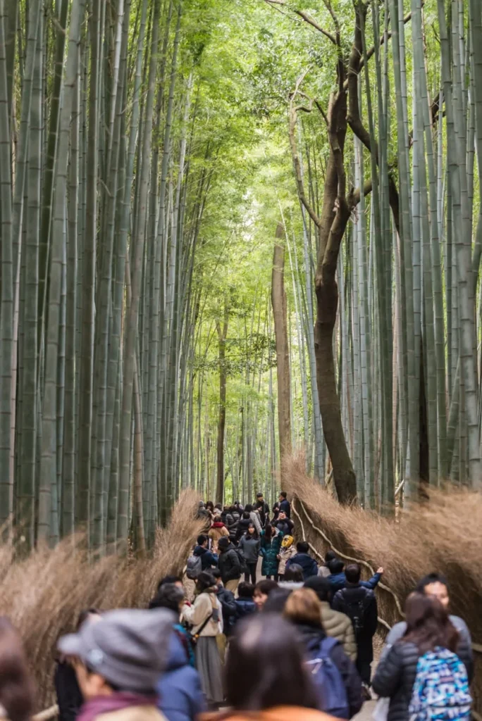 Japonya'nın Kültürel Mirası: Kyoto'ya Yolculuk