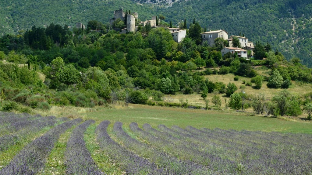 Renklerin ve Lezzetlerin İzinde: Provence