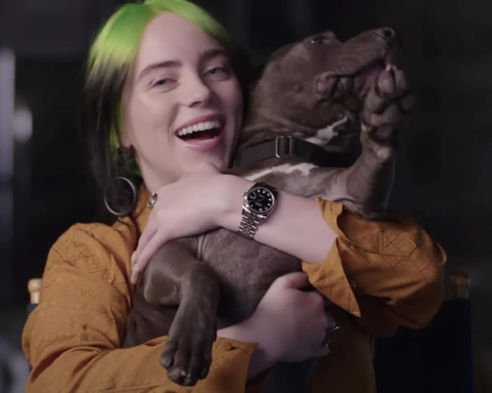 Billie Eilish ve Köpeği Shark: Müzikten Kalplere Uzanan Bir Dostluk