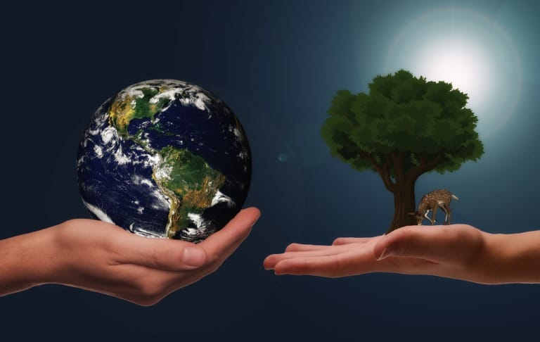 2025 Sürdürülebilir Yaşam Trendleri