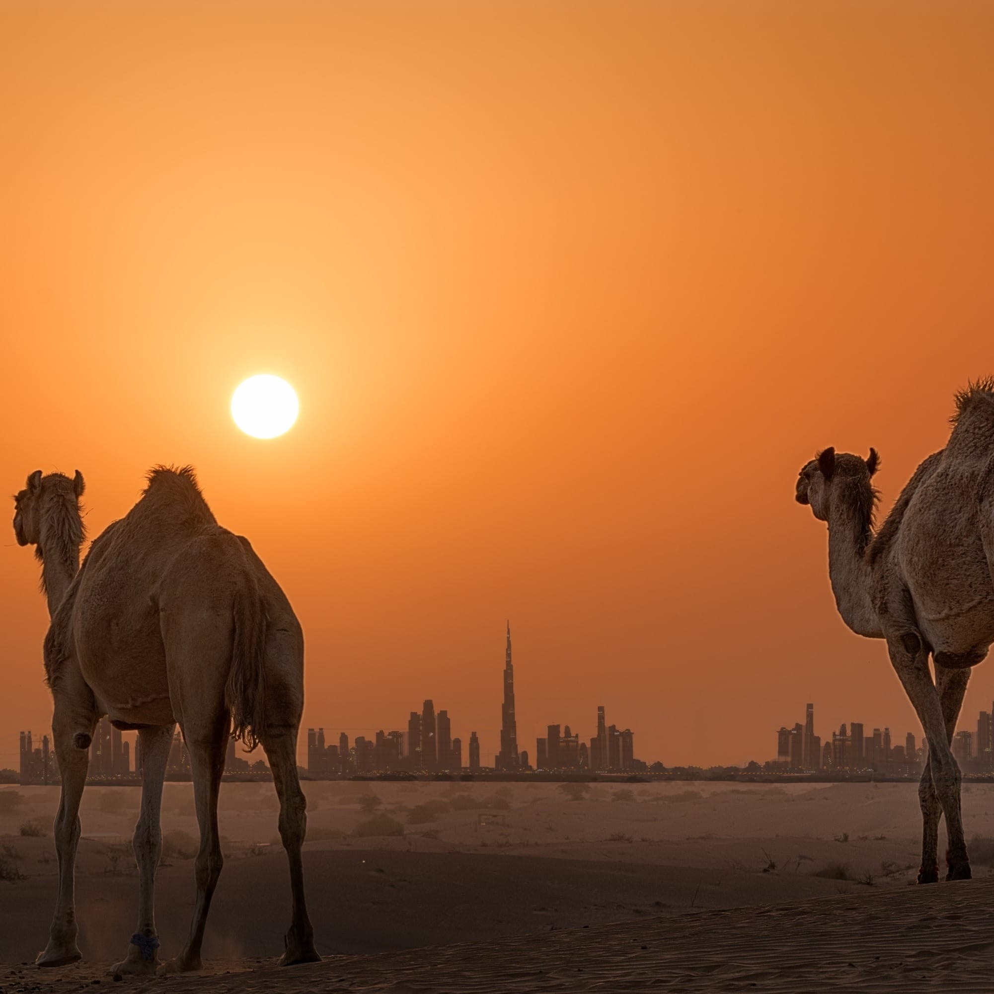 Dubai: Dört Mevsim Seyahat Rotası