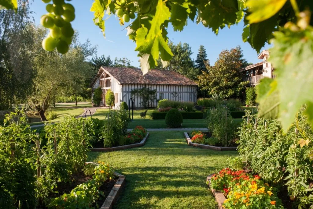 Château Smith Haut Lafitte & Les Sources de Caudalie: Huzurlu Bir Deneyim