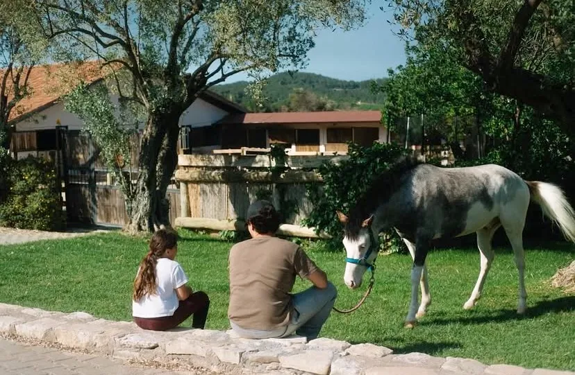 Türkiye’nin En İyi Binicilik Kulüpleri