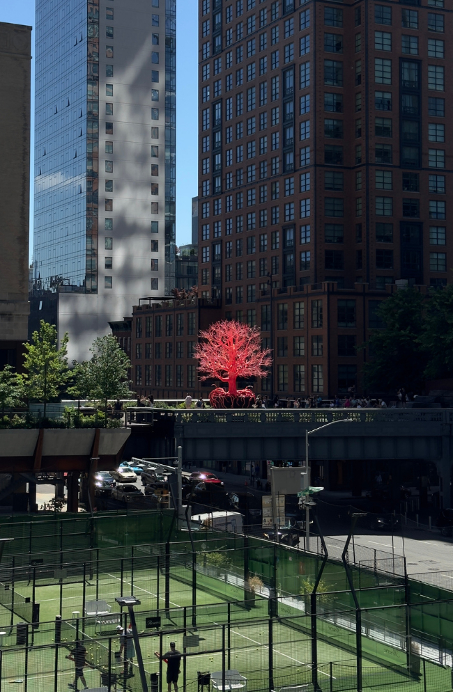 Işıkların ve Hayallerin Şehri: New York Seyahat Rehberi