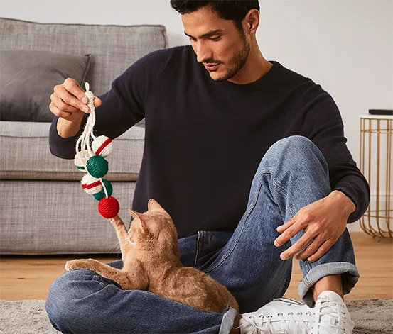 Bir adam, kedi oyuncakları seçkisinden ipte kırmızı, yeşil ve beyaz renkli örgü topları olan bir oyuncağı kullanarak kucağında oturan sevimli turuncu kedisiyle yerde oturarak oynuyor, bu keyifli an evcil dostlar için oyunun önemini vurguluyor.