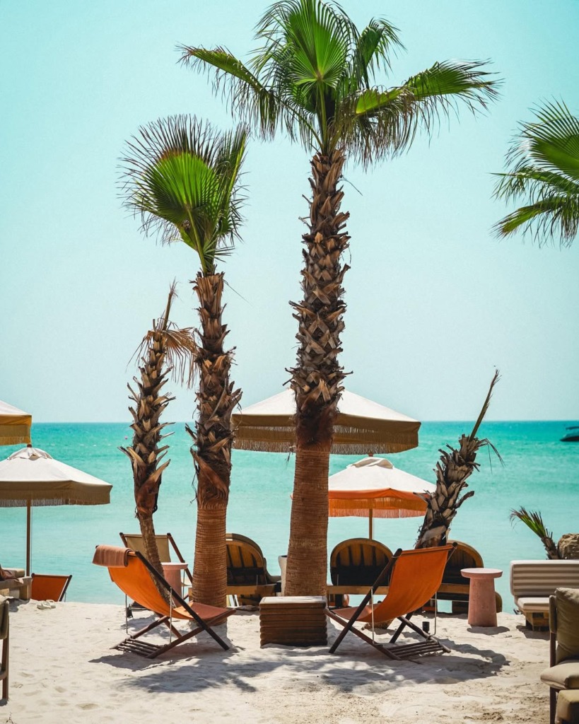 Çeşme'nin büyüleyici Dalyan koyunda yer alan The Beach of MOMO Dalyan'da, palmiye ağaçları arasında uzanan bembeyaz kumsalda, berrak turkuaz denize bakan modern turuncu şezlonglar ve açık renkli plaj şemsiyeleriyle donatılmış huzurlu bir beach club atmosferi.