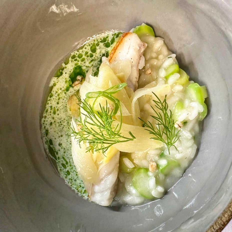 Basel Seyahat Rehberi: Sanat, Mimari ve Gastronomiyle Sessiz Lüksün Buluştuğu Şehir
