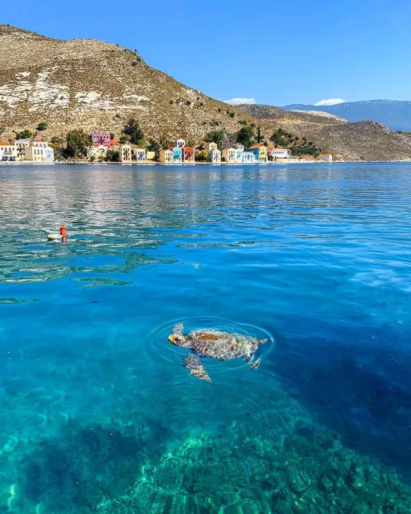 Masal gibi berrak turkuaz sularında yüzeyde kafasını gösteren bir deniz kaplumbağası, arkasında Meis Adası'nın renkli evlerinin sıralandığı sakin limanı ve yükselen dağ manzarasıyla güneşli bir günü yansıtan büyüleyici bir görüntü.