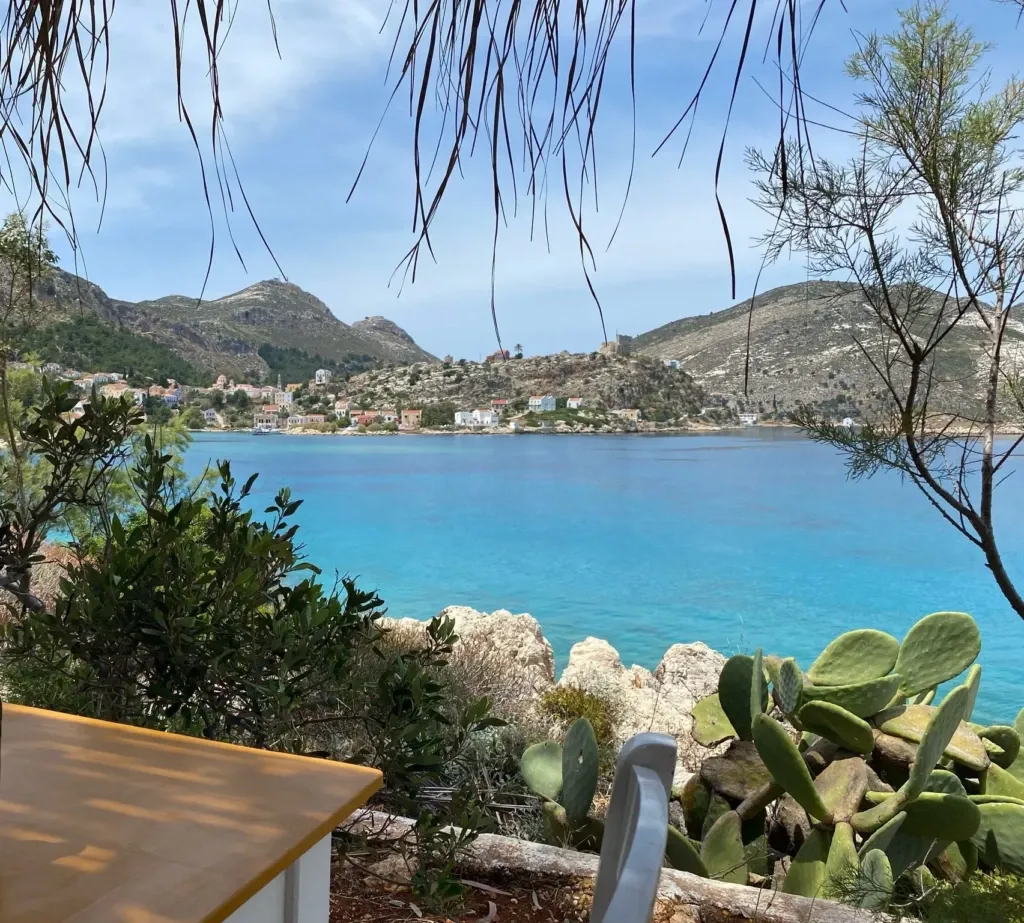 Meis Adası'nın büyüleyici turkuaz sularına bakan bir terastan, ön planda kaktüsler ve kuru yapraklarla çerçevelenmiş, karşı kıyıdaki renkli evlerin ve yüksek dağların panoramik manzarası.