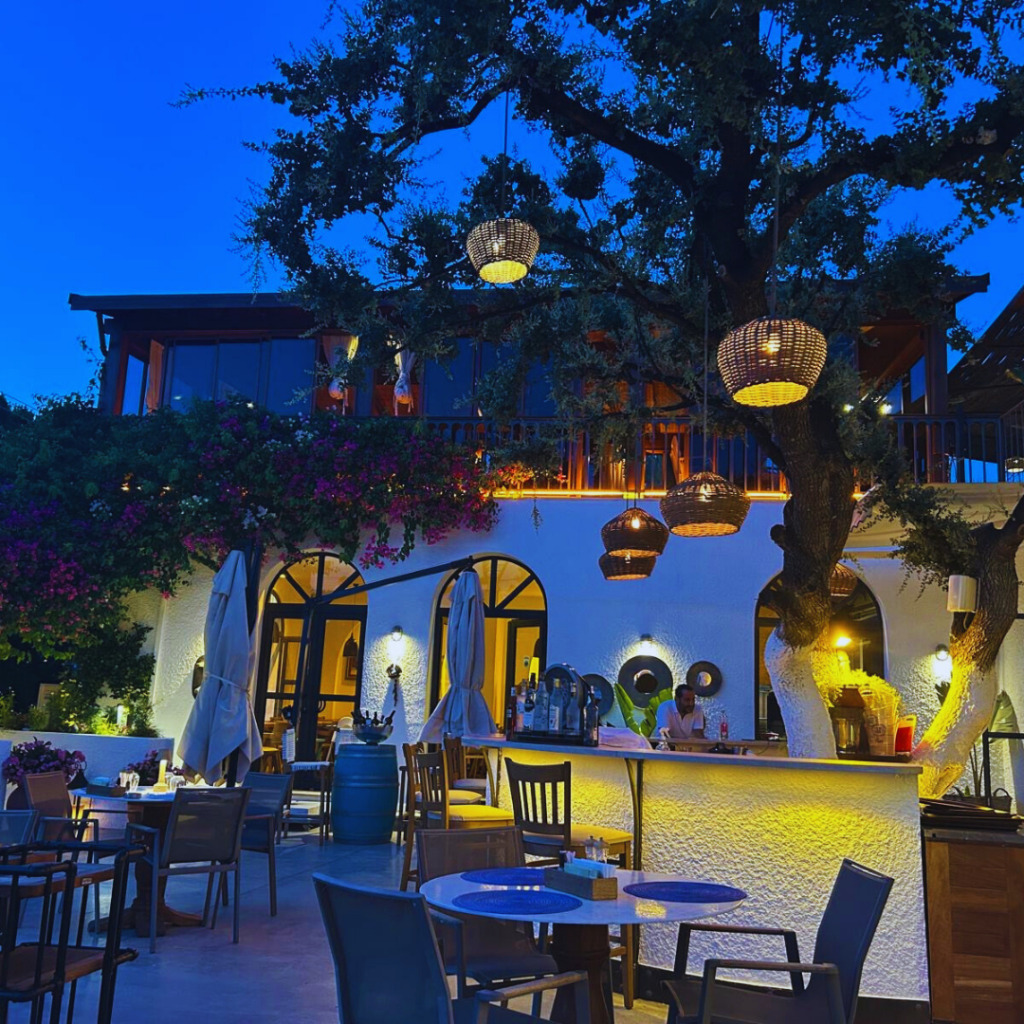 Bodrum’da Lezzetle Buluşmanın Adresi: Tike Bodrum