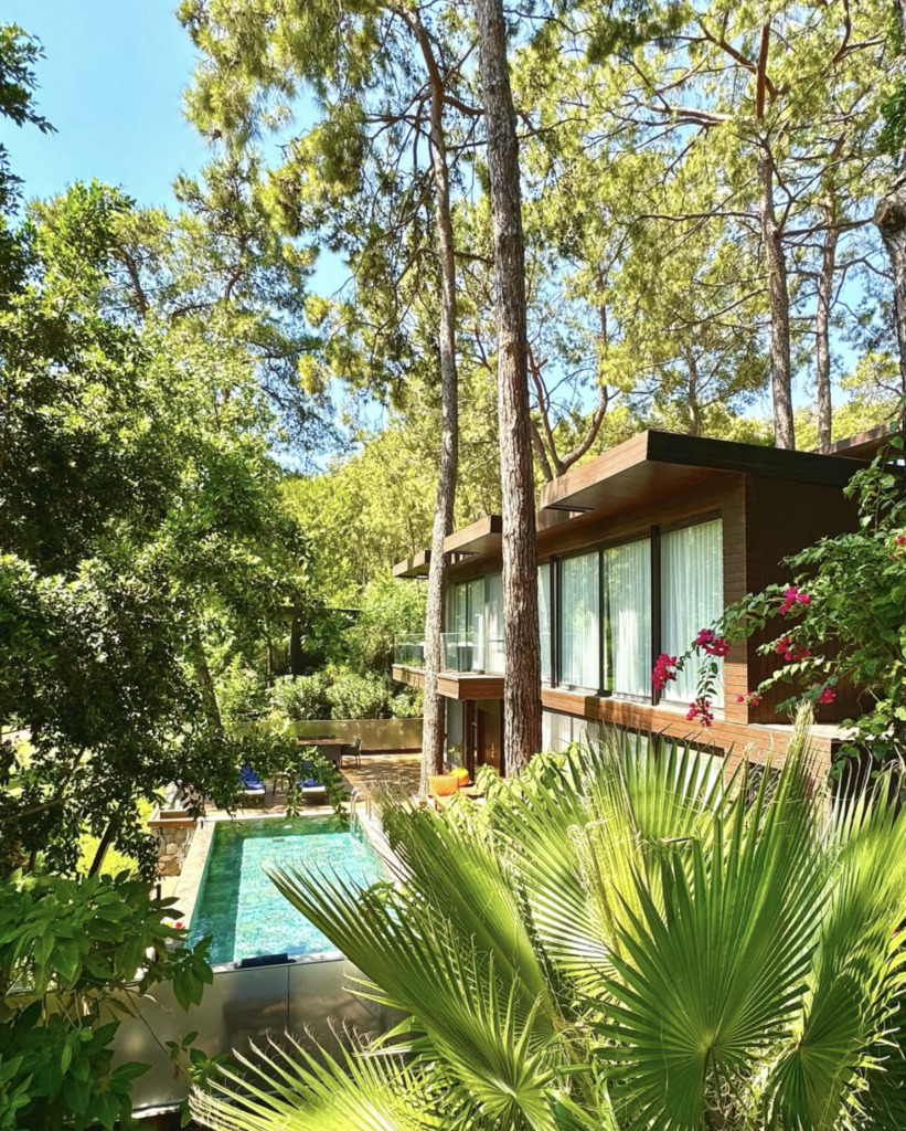 Sıradan Bir Tatilden Fazlası: Göcek’te Ruhunuzu Yenileyecek Gastronomi ve Wellness Rotaları
