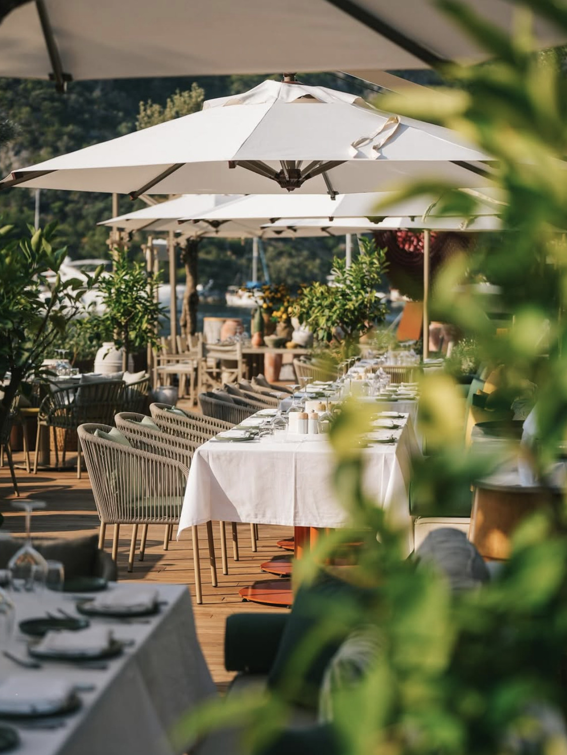 Sıradan Bir Tatilden Fazlası: Göcek’te Ruhunuzu Yenileyecek Gastronomi ve Wellness Rotaları